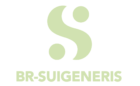 brsuigen green logo